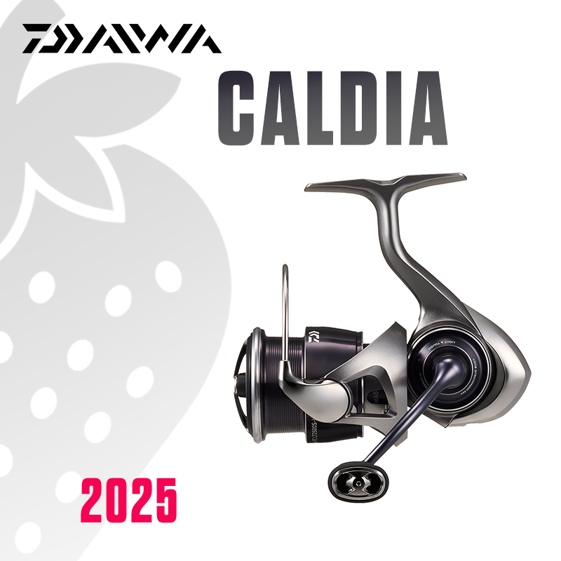 Daiwa Reel Bg - دايوا 2025 كالديا LT بكرة صيد